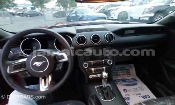 Buy Import Ford Mustang Red Car in Import - Dubai in Clarendon Buy Import Ford Mustang Red Car in Import - Dubai in Clarendon