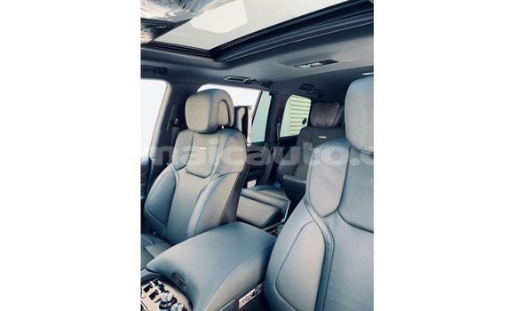 Buy Import Lexus LX Black Car in Import - Dubai in Clarendon Buy Import Lexus LX Black Car in Import - Dubai in Clarendon