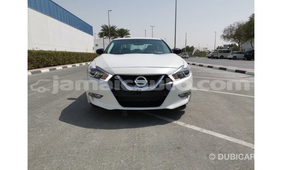Acheter Import Voiture Nissan Maxima Blanc à Import - Dubai, Clarendon Acheter Import Voiture Nissan Maxima Blanc à Import - Dubai, Clarendon