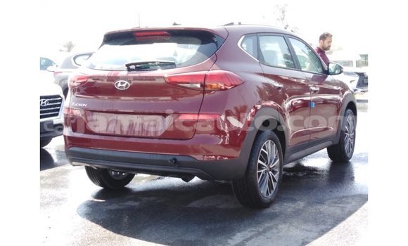 Acheter Import Voiture Hyundai Tucson Rouge à Import - Dubai, Clarendon Acheter Import Voiture Hyundai Tucson Rouge à Import - Dubai, Clarendon