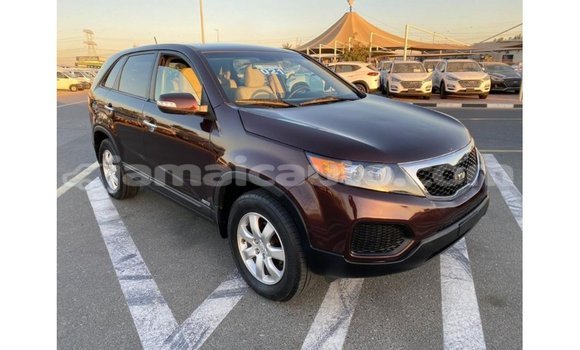 Buy Import Kia Sorento Brown Car in Import - Dubai in Clarendon Buy Import Kia Sorento Brown Car in Import - Dubai in Clarendon