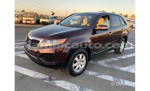 Buy Import Kia Sorento Brown Car in Import - Dubai in Clarendon Buy Import Kia Sorento Brown Car in Import - Dubai in Clarendon