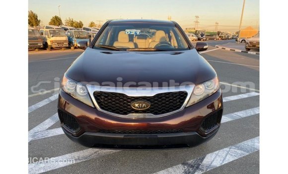 Buy Import Kia Sorento Brown Car in Import - Dubai in Clarendon Buy Import Kia Sorento Brown Car in Import - Dubai in Clarendon