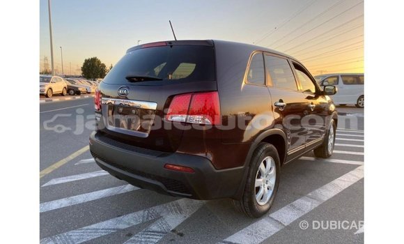 Buy Import Kia Sorento Brown Car in Import - Dubai in Clarendon Buy Import Kia Sorento Brown Car in Import - Dubai in Clarendon