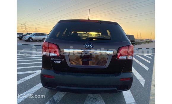 Buy Import Kia Sorento Brown Car in Import - Dubai in Clarendon Buy Import Kia Sorento Brown Car in Import - Dubai in Clarendon