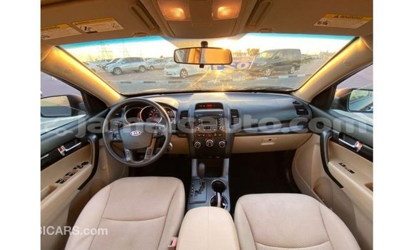 Buy Import Kia Sorento Brown Car in Import - Dubai in Clarendon Buy Import Kia Sorento Brown Car in Import - Dubai in Clarendon