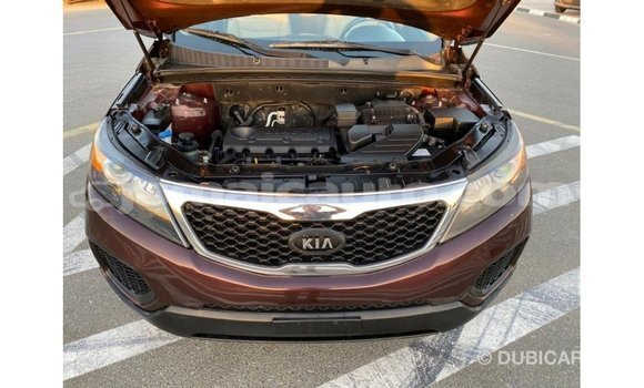Buy Import Kia Sorento Brown Car in Import - Dubai in Clarendon Buy Import Kia Sorento Brown Car in Import - Dubai in Clarendon