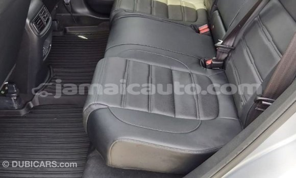 Buy Import Honda C Other Bike in Import - Dubai in Clarendon Buy Import Honda C Other Bike in Import - Dubai in Clarendon