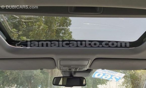 Buy Import Honda C Other Bike in Import - Dubai in Clarendon Buy Import Honda C Other Bike in Import - Dubai in Clarendon