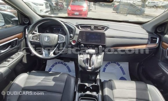 Buy Import Honda C Other Bike in Import - Dubai in Clarendon Buy Import Honda C Other Bike in Import - Dubai in Clarendon