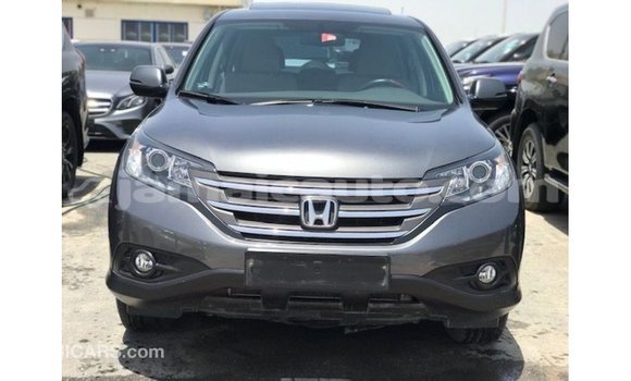 Buy Import Honda C Other Bike in Import - Dubai in Clarendon Buy Import Honda C Other Bike in Import - Dubai in Clarendon