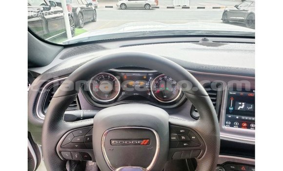 Acheter Import Voiture Dodge Challenger Blanc à Import - Dubai, Clarendon Acheter Import Voiture Dodge Challenger Blanc à Import - Dubai, Clarendon