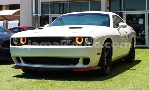 Buy Import Dodge Challenger White Car in Import - Dubai in Clarendon