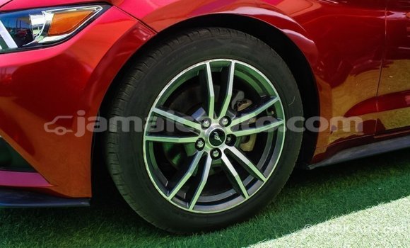 Acheter Import Voiture Ford Mustang Rouge à Import - Dubai, Clarendon Acheter Import Voiture Ford Mustang Rouge à Import - Dubai, Clarendon