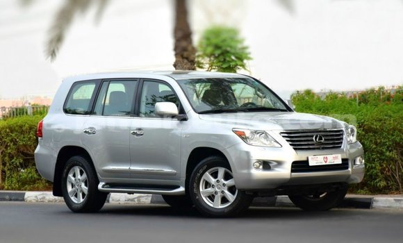 Buy Import Lexus LX Other Car in Import - Dubai in Clarendon