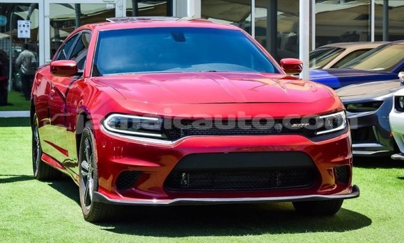 Buy Import Dodge Charger Red Car in Import - Dubai in Clarendon