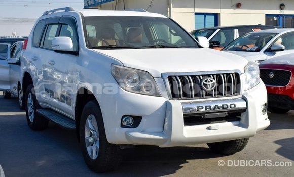 Acheter Import Voiture Toyota Prado Blanc à Import - Dubai, Clarendon Acheter Import Voiture Toyota Prado Blanc à Import - Dubai, Clarendon
