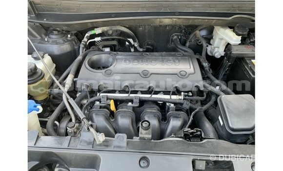 Buy Import Kia Sportage Black Car in Import - Dubai in Clarendon Buy Import Kia Sportage Black Car in Import - Dubai in Clarendon