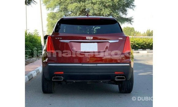 Acheter Import Voiture Cadillac XT5 Rouge à Import - Dubai, Clarendon Acheter Import Voiture Cadillac XT5 Rouge à Import - Dubai, Clarendon