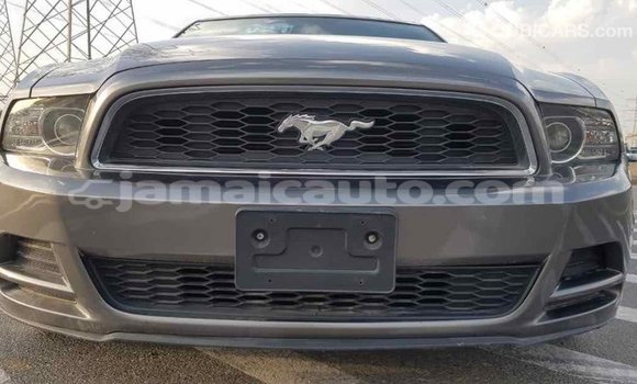 Acheter Import Voiture Ford Mustang Autre à Import - Dubai, Clarendon Acheter Import Voiture Ford Mustang Autre à Import - Dubai, Clarendon