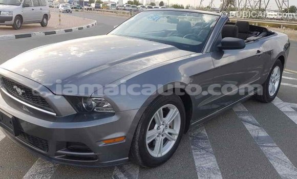Acheter Import Voiture Ford Mustang Autre à Import - Dubai, Clarendon Acheter Import Voiture Ford Mustang Autre à Import - Dubai, Clarendon