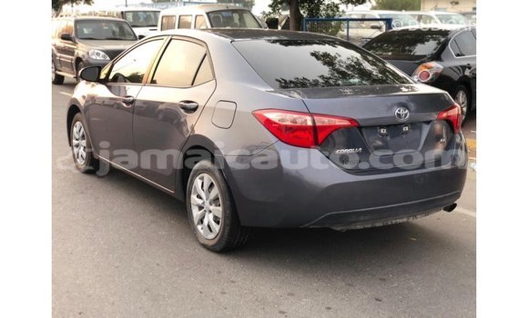 Buy Import Toyota Corolla Other Car in Import - Dubai in Clarendon Buy Import Toyota Corolla Other Car in Import - Dubai in Clarendon