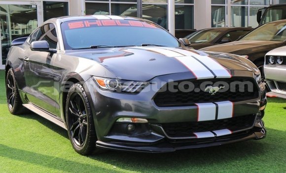 Buy Import Ford Mustang Other Car in Import - Dubai in Clarendon