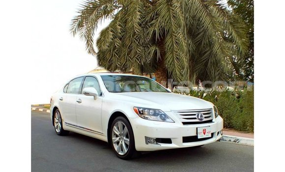 Buy Import Lexus LS White Car in Import - Dubai in Clarendon Buy Import Lexus LS White Car in Import - Dubai in Clarendon