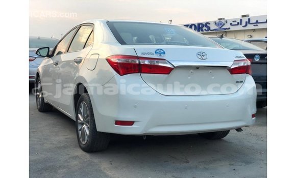 Acheter Import Voiture Toyota Corolla Blanc à Import - Dubai, Clarendon Acheter Import Voiture Toyota Corolla Blanc à Import - Dubai, Clarendon
