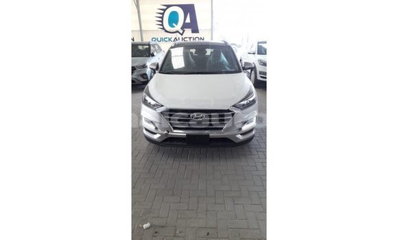 Buy Import Hyundai Tucson Other Car in Import - Dubai in Clarendon Buy Import Hyundai Tucson Other Car in Import - Dubai in Clarendon