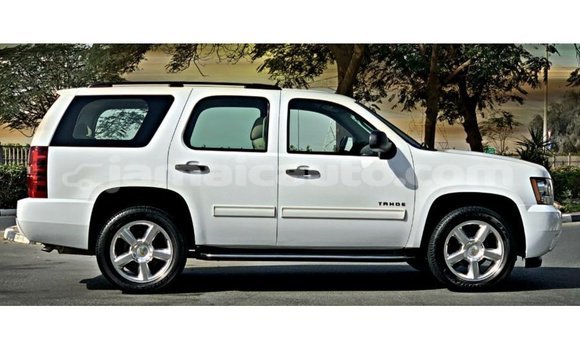 Buy Import Chevrolet Tahoe White Car in Import - Dubai in Clarendon Buy Import Chevrolet Tahoe White Car in Import - Dubai in Clarendon