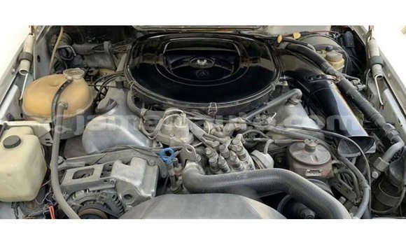 Buy Import Mercedes-Benz 190 (W201) White Car in Import - Dubai in Clarendon Buy Import Mercedes-Benz 190 (W201) White Car in Import - Dubai in Clarendon