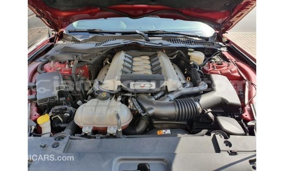 Buy Import Ford Mustang Red Car in Import - Dubai in Clarendon Buy Import Ford Mustang Red Car in Import - Dubai in Clarendon