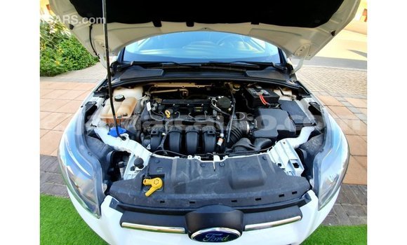 Acheter Import Voiture Ford Focus Blanc à Import - Dubai, Clarendon Acheter Import Voiture Ford Focus Blanc à Import - Dubai, Clarendon