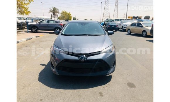 Buy Import Toyota Corolla Other Car in Import - Dubai in Clarendon Buy Import Toyota Corolla Other Car in Import - Dubai in Clarendon