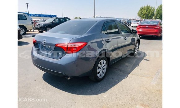 Buy Import Toyota Corolla Other Car in Import - Dubai in Clarendon Buy Import Toyota Corolla Other Car in Import - Dubai in Clarendon