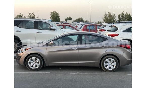 Buy Import Hyundai Elantra Brown Car in Import - Dubai in Clarendon Buy Import Hyundai Elantra Brown Car in Import - Dubai in Clarendon