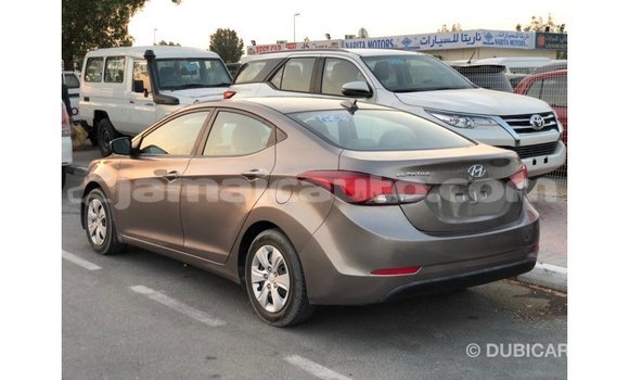 Buy Import Hyundai Elantra Brown Car in Import - Dubai in Clarendon Buy Import Hyundai Elantra Brown Car in Import - Dubai in Clarendon