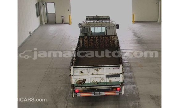 Buy Import Isuzu FTR 850 White Truck in Import - Dubai in Clarendon Buy Import Isuzu FTR 850 White Truck in Import - Dubai in Clarendon