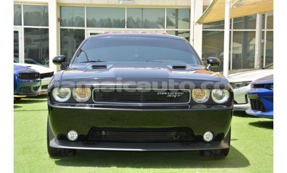 Buy Import Dodge Challenger Black Car in Import - Dubai in Clarendon