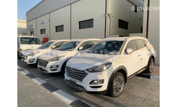 Acheter Import Voiture Hyundai Tucson Blanc à Import - Dubai, Clarendon Acheter Import Voiture Hyundai Tucson Blanc à Import - Dubai, Clarendon