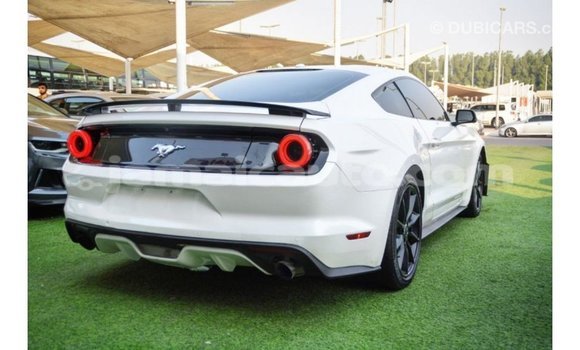 Buy Import Ford Mustang White Car in Import - Dubai in Clarendon Buy Import Ford Mustang White Car in Import - Dubai in Clarendon