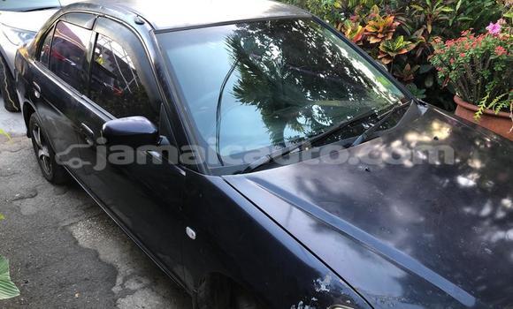 Buy Used Honda Civic Blue Car in Kingston in Kingston