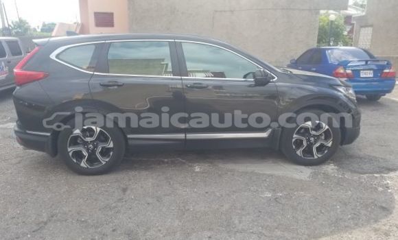 Buy Used Honda CR–V Green Car in Kingston in Kingston