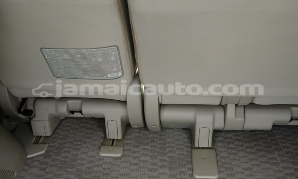 Buy Used AC Ace White Car in Mandeville in Manchester Buy Used AC Ace White Car in Mandeville in Manchester