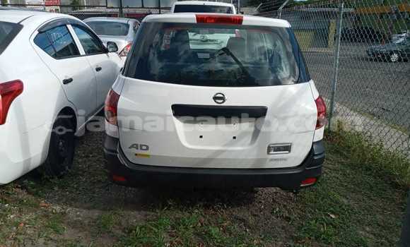 Buy Import Nissan AD White Car in Kingston in Kingston Buy Import Nissan AD White Car in Kingston in Kingston