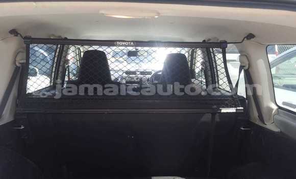 Buy Import Toyota Probox Silver Car in Kingston in Kingston Buy Import Toyota Probox Silver Car in Kingston in Kingston