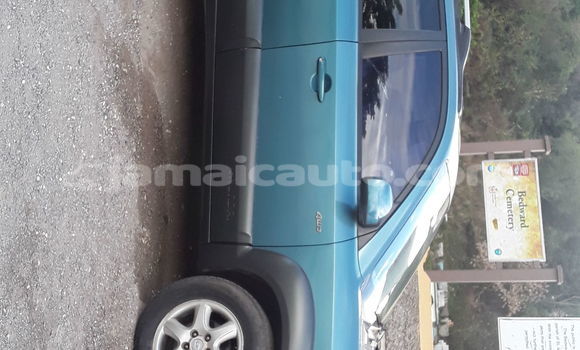 Buy Used Hyundai Chorus Green Truck in Kingston in Kingston