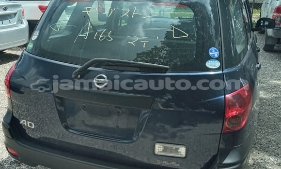 Buy Import Nissan AD Blue Car in Kingston in Kingston Buy Import Nissan AD Blue Car in Kingston in Kingston