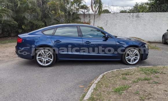 Acheter Occasion Voiture Audi A5 Bleu à Kingston, Kingston Acheter Occasion Voiture Audi A5 Bleu à Kingston, Kingston